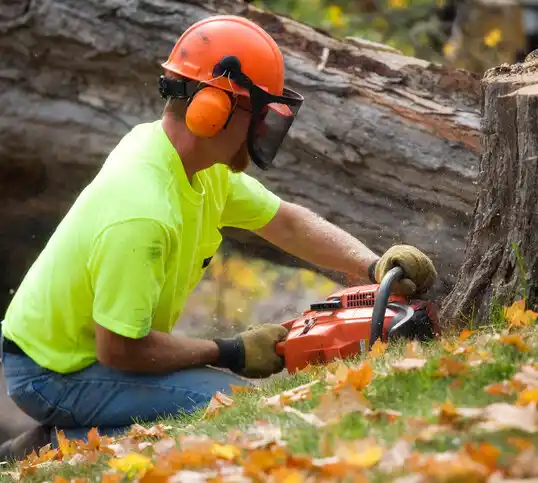 tree services Waite Hill